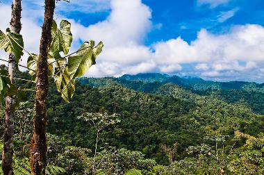 Ferienhaus in Quito Region (Pichincha) oder Ferienwohnung oder Ferienhaus