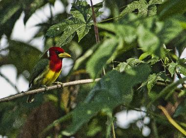 Ferienhaus in Quito Region (Pichincha) oder Ferienwohnung oder Ferienhaus