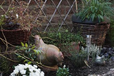 Ferienwohnung in COLMAR (Haut-Rhin) oder Ferienwohnung oder Ferienhaus