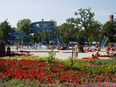 Pension in Szabadkigyos (Bekes) oder Ferienwohnung oder Ferienhaus