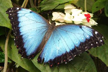 Ferienhaus in Quito Region (Pichincha) oder Ferienwohnung oder Ferienhaus