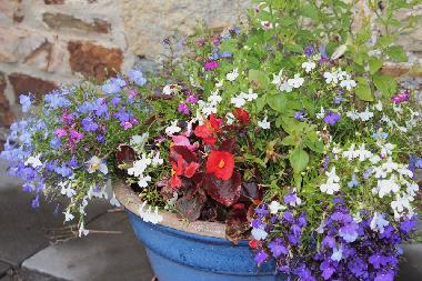 Ferienhaus in Camelford (South West) oder Ferienwohnung oder Ferienhaus
