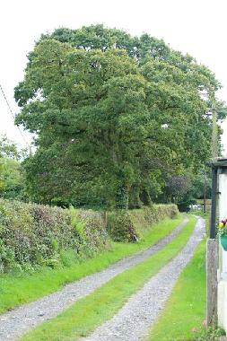 Ferienhaus in Camelford (South West) oder Ferienwohnung oder Ferienhaus
