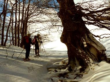 Ferienhaus in San Pietro della Ienca (L