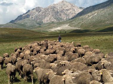 Ferienhaus in San Pietro della Ienca (L