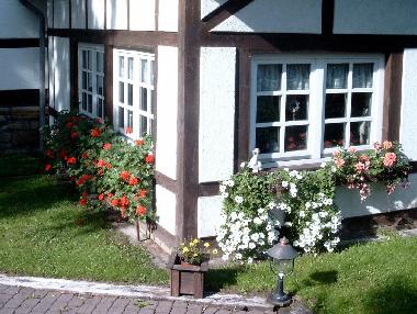 Blumen am Gstehaus