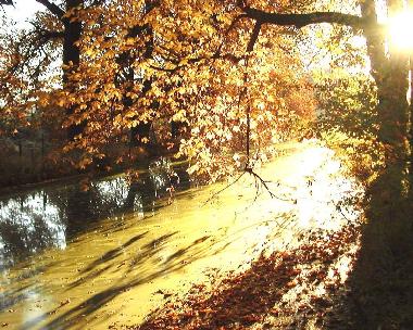 Herbstimpression am Mhlbach