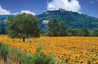 Ferienhaus in Saint Pere (Yonne) oder Ferienwohnung oder Ferienhaus