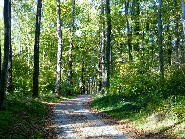 Ferienwohnung in Koserow (Ostsee-Inseln) oder Ferienwohnung oder Ferienhaus