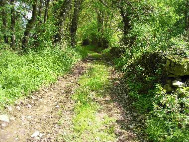 Ferienhaus in Saint Pere (Yonne) oder Ferienwohnung oder Ferienhaus
