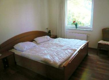 Ferienwohnung in Willingen/Upland - Fewo E am Kurpark (Sauerland) oder Ferienwohnung oder Ferienhaus