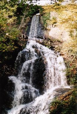 Ferienhaus in Saint Pere (Yonne) oder Ferienwohnung oder Ferienhaus