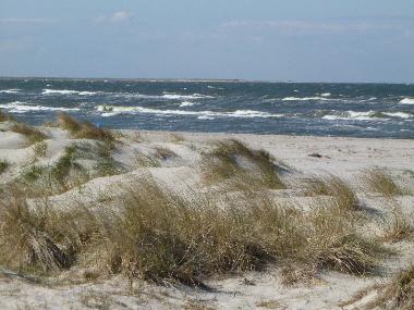 Ferienwohnung in Prerow (Fischland-Dar�-Zingst) oder Ferienwohnung oder Ferienhaus