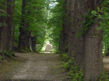 Ferienwohnung in Juliusruh (Ostsee-Inseln) oder Ferienwohnung oder Ferienhaus