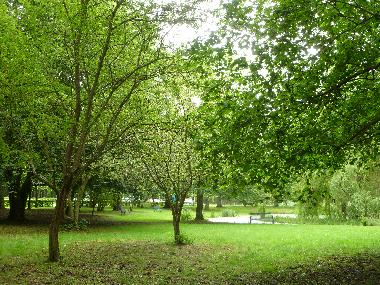Ferienwohnung in Juliusruh (Ostsee-Inseln) oder Ferienwohnung oder Ferienhaus