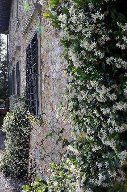 Pension in Scarperia (Firenze) oder Ferienwohnung oder Ferienhaus