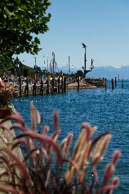 Ferienwohnung in Markdorf (Bodensee) oder Ferienwohnung oder Ferienhaus