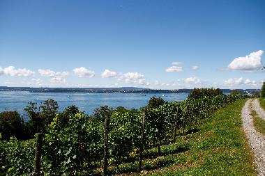 Ferienwohnung in Markdorf (Bodensee) oder Ferienwohnung oder Ferienhaus