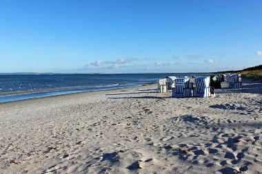 Strandbereich bei Juliusruh