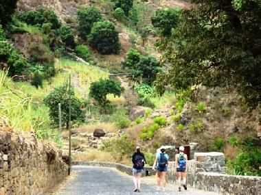 Pension in Ponta do Sol (Ribeira Grande) oder Ferienwohnung oder Ferienhaus