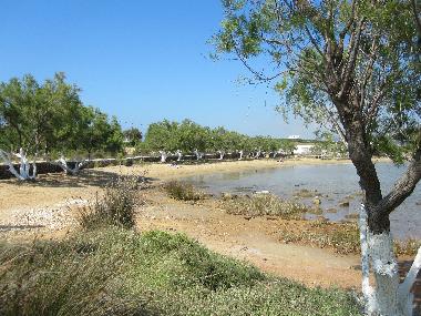 Ferienhaus in Antiparos (Kyklades) oder Ferienwohnung oder Ferienhaus