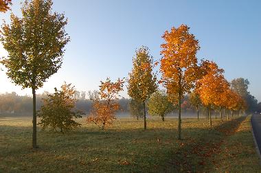 Sie m�ssen nicht bis zum n�chsten Herbst warten. 