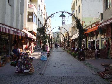 Villa in Selcuk, Izmir (Izmir) oder Ferienwohnung oder Ferienhaus
