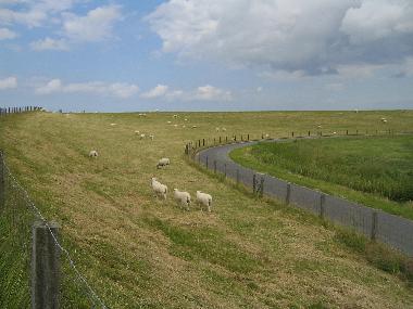 Ferienhaus in Nemersiel (Nordsee-Festland / Ostfriesland) oder Ferienwohnung oder Ferienhaus