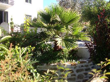 Ferienwohnung in Caneiro - Ma��s de Dona Maria (Pinhal Litoral) oder Ferienwohnung oder Ferienhaus