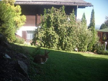 Besuch im Garten