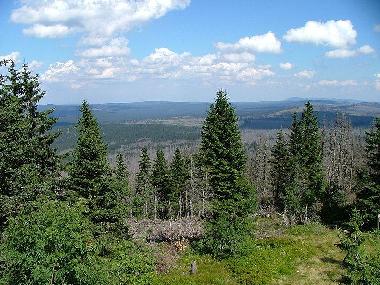 Bayrische Wald wandern in wunderschner Natur, Aussichtstrme 