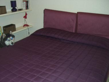 Ferienwohnung in naples (Napoli) oder Ferienwohnung oder Ferienhaus