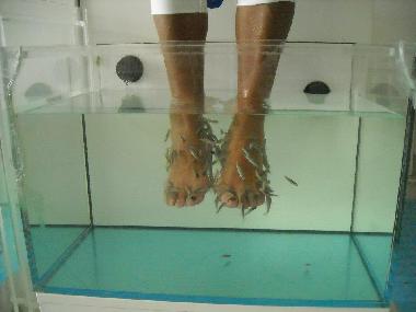 Ferienwohnung in Sta. Maria (Sal) oder Ferienwohnung oder Ferienhaus