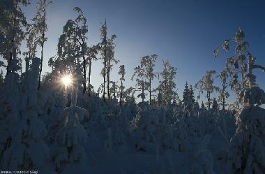 Skifahren, Winterwandern