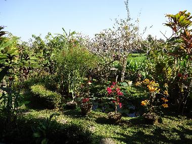 Blick von der Terrasse in den Garten