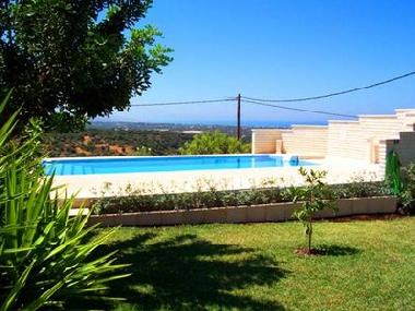 Palmen und Obstgarten