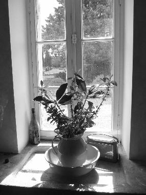 Ferienhaus in St Martin Petit  (Lot-et-Garonne) oder Ferienwohnung oder Ferienhaus