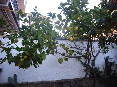 Ferienwohnung in Anzio - Lavinio (Roma) oder Ferienwohnung oder Ferienhaus