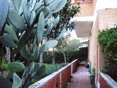 Ferienwohnung in Anzio - Lavinio (Roma) oder Ferienwohnung oder Ferienhaus