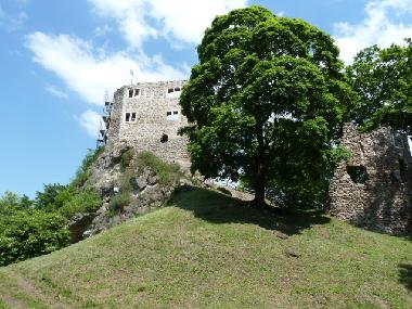 Schloruine bei Bad Liebenstein