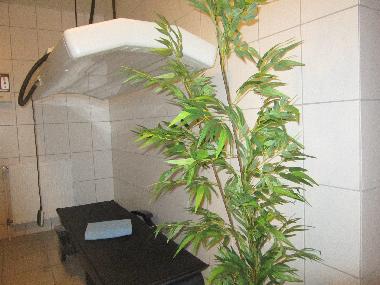 und Sonnenhimmel.....