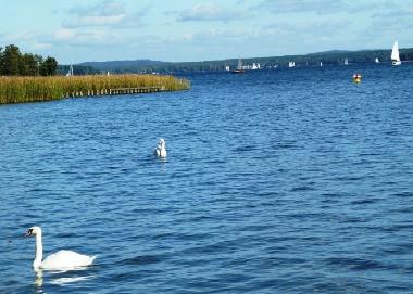 Ferienhaus in Wendisch Rietz (Oder-Spree) oder Ferienwohnung oder Ferienhaus