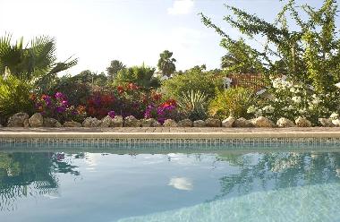 Villa in Willemstad (Curacao) oder Ferienwohnung oder Ferienhaus