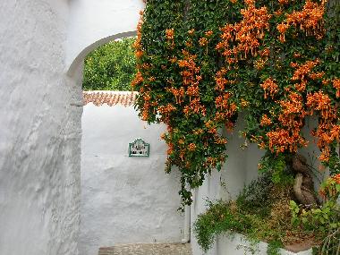 Ferienwohnung in Frigiliana (Mlaga) oder Ferienwohnung oder Ferienhaus