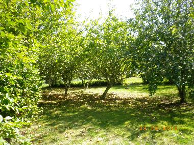 Ferienhaus in Beuzec Cap Sizun (Finist�re) oder Ferienwohnung oder Ferienhaus
