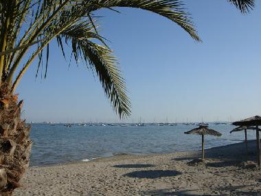 Ferienwohnung in Torre Pacheco (Murcia) oder Ferienwohnung oder Ferienhaus