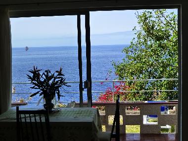 Blick aus dem Wohnzimmer