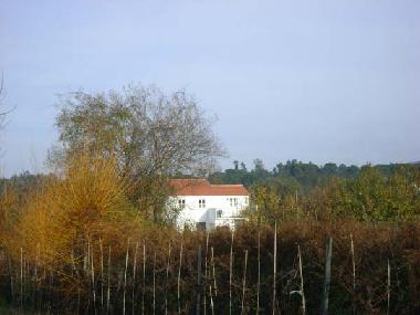 Ferienhaus in Arganil (Pinhal Interior Sul) oder Ferienwohnung oder Ferienhaus