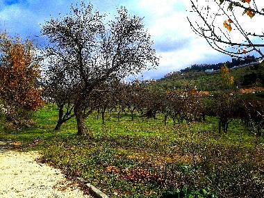 Chalet in alfacar (Granada) oder Ferienwohnung oder Ferienhaus