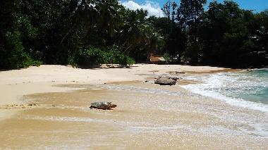 Der Strand